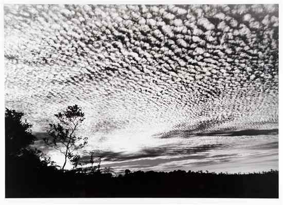 Appraisal: Clyde Butcher American th century Rock Island Prairie silver gelatin