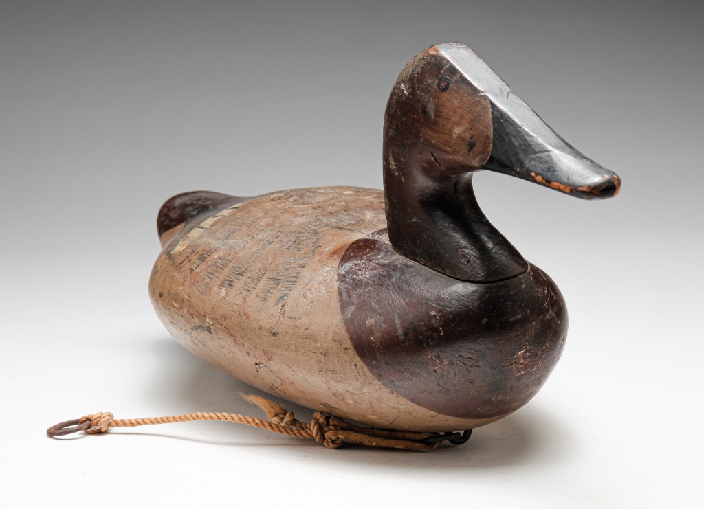 Appraisal: CANVASBACK DECOY BY SAM BARNES Havre de Grace Maryland ca