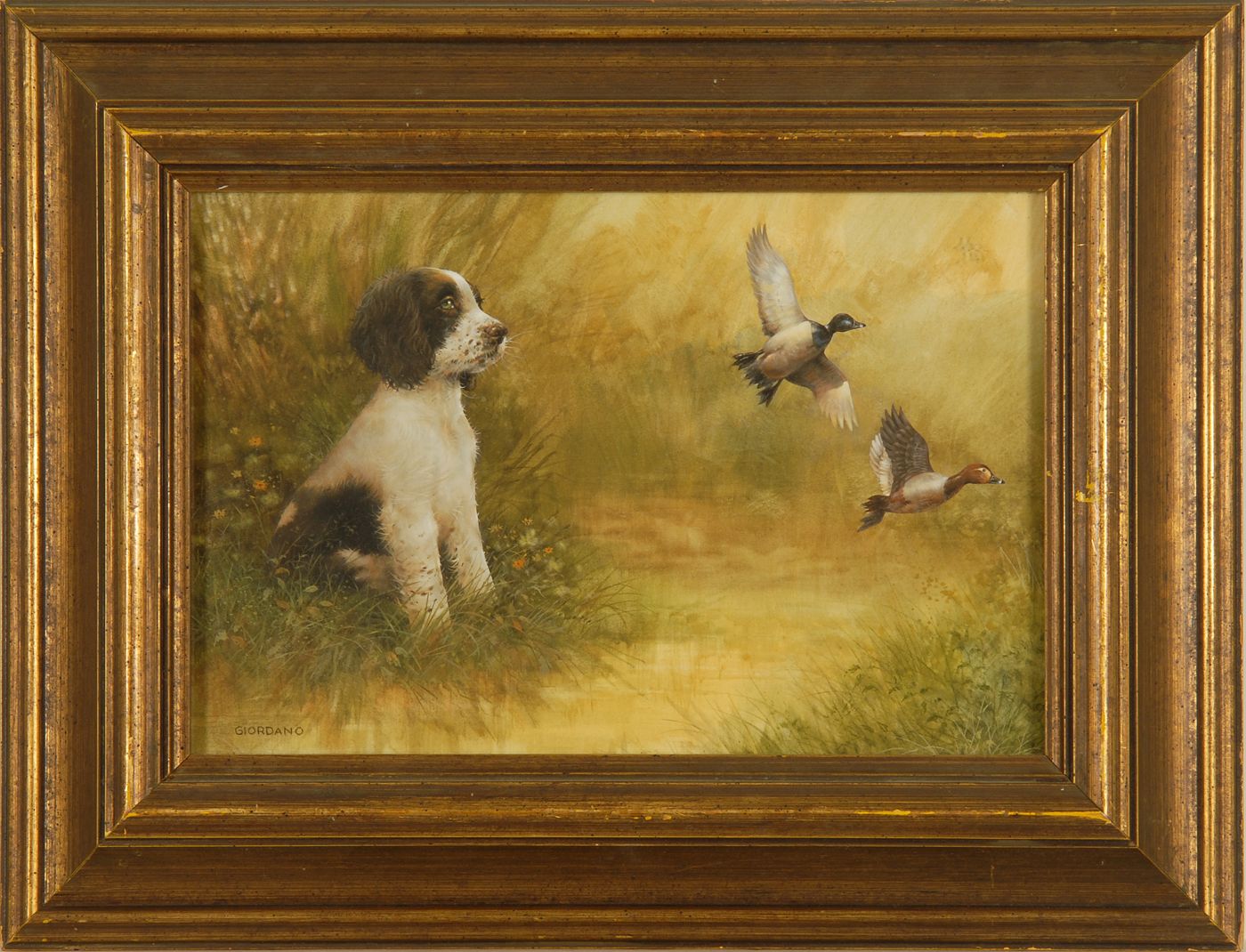 Appraisal: GIORDANOA seated English Springer spaniel puppy observing two ringed-neck ducks