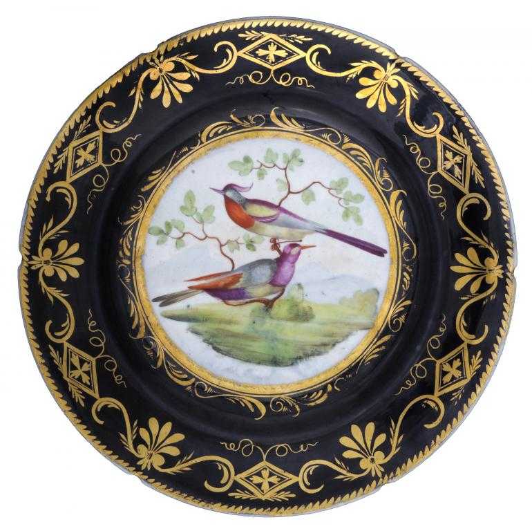 Appraisal: A COALPORT PLATE outside-decorated painted with exotic birds reserved on