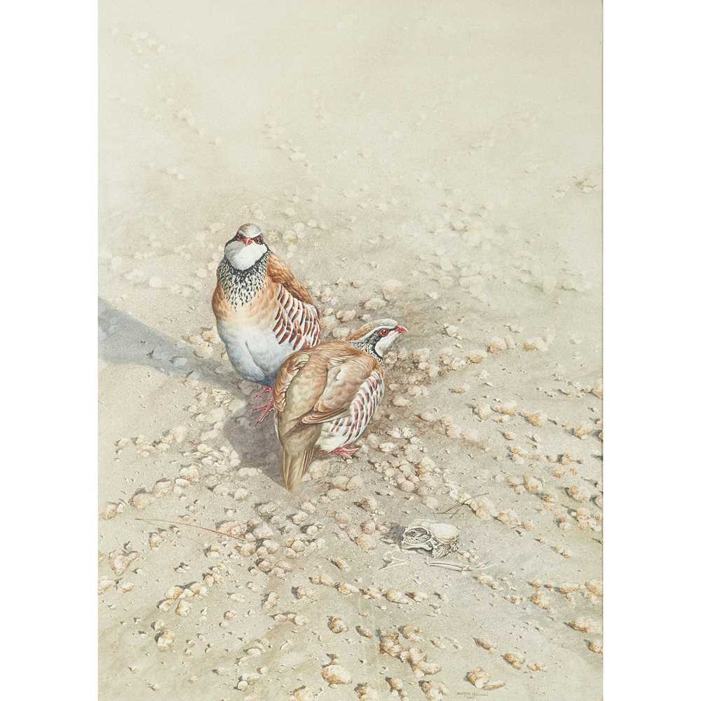 Appraisal: BRYAN HANLON TH CENTURY BRITISH RED-LEGGED PARTRIDGE Signed and dated