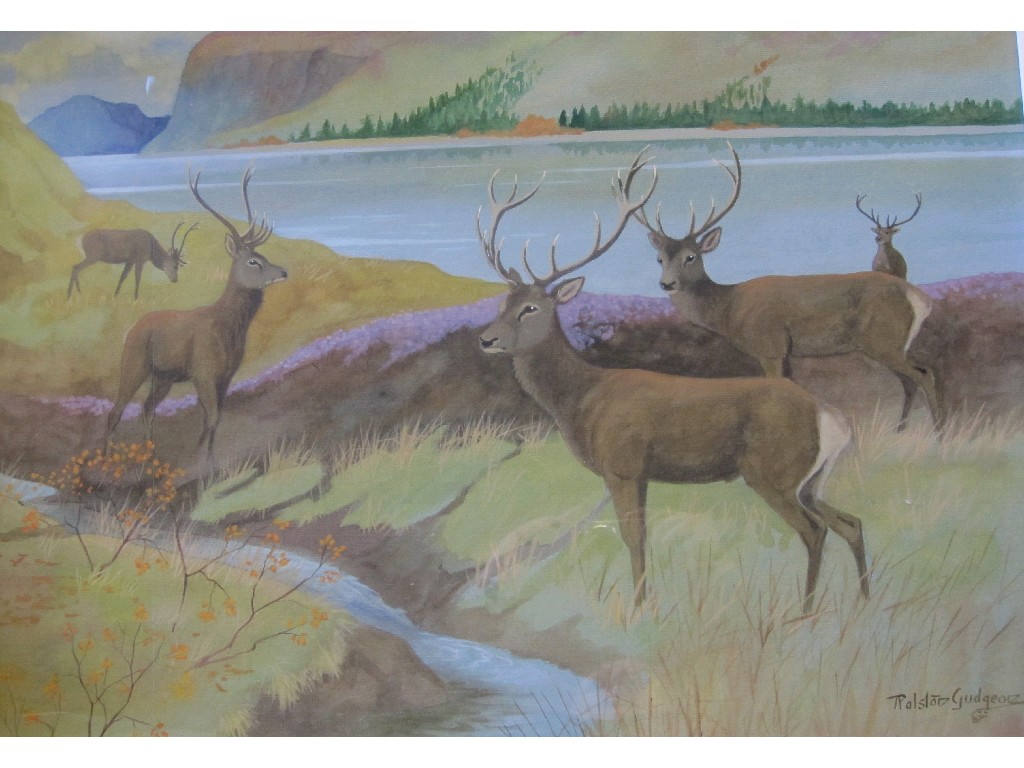 Appraisal: RALSTON GUDGEON RSW Watercolour 'Deer by a Loch' signed