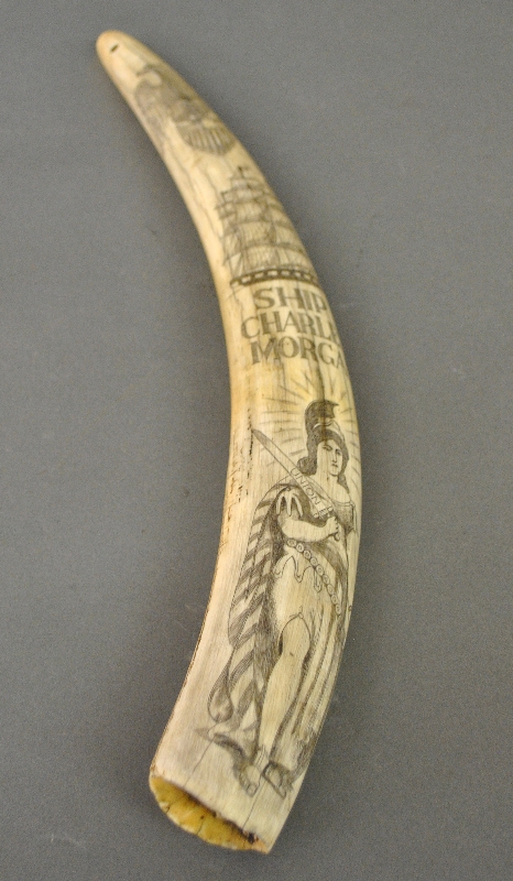 Appraisal: - Scrimshaw walrus tusk th c with later dated carvings