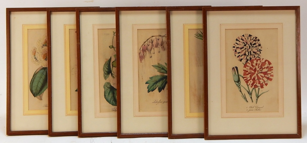 Appraisal: PC C HAND COLORED BOTANICAL ENGRAVINGS Europe th CenturyGroup includes