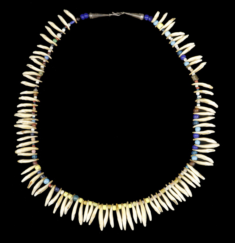 Appraisal: NATIVE AMERICAN COYOTE TOOTH TRADE BEAD NECKLACE Vintage Long Necklace