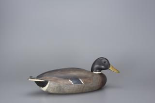 Appraisal: Mallard Drake Ralf Coykendall Sr Mallard Drake Ralf Coykendall Sr