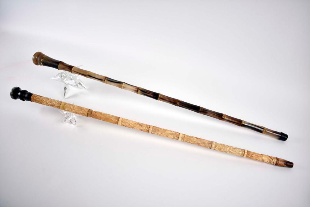 Appraisal: TWO CHINESE FAUX HORN AND FAUX BONE WALKING STICKS th