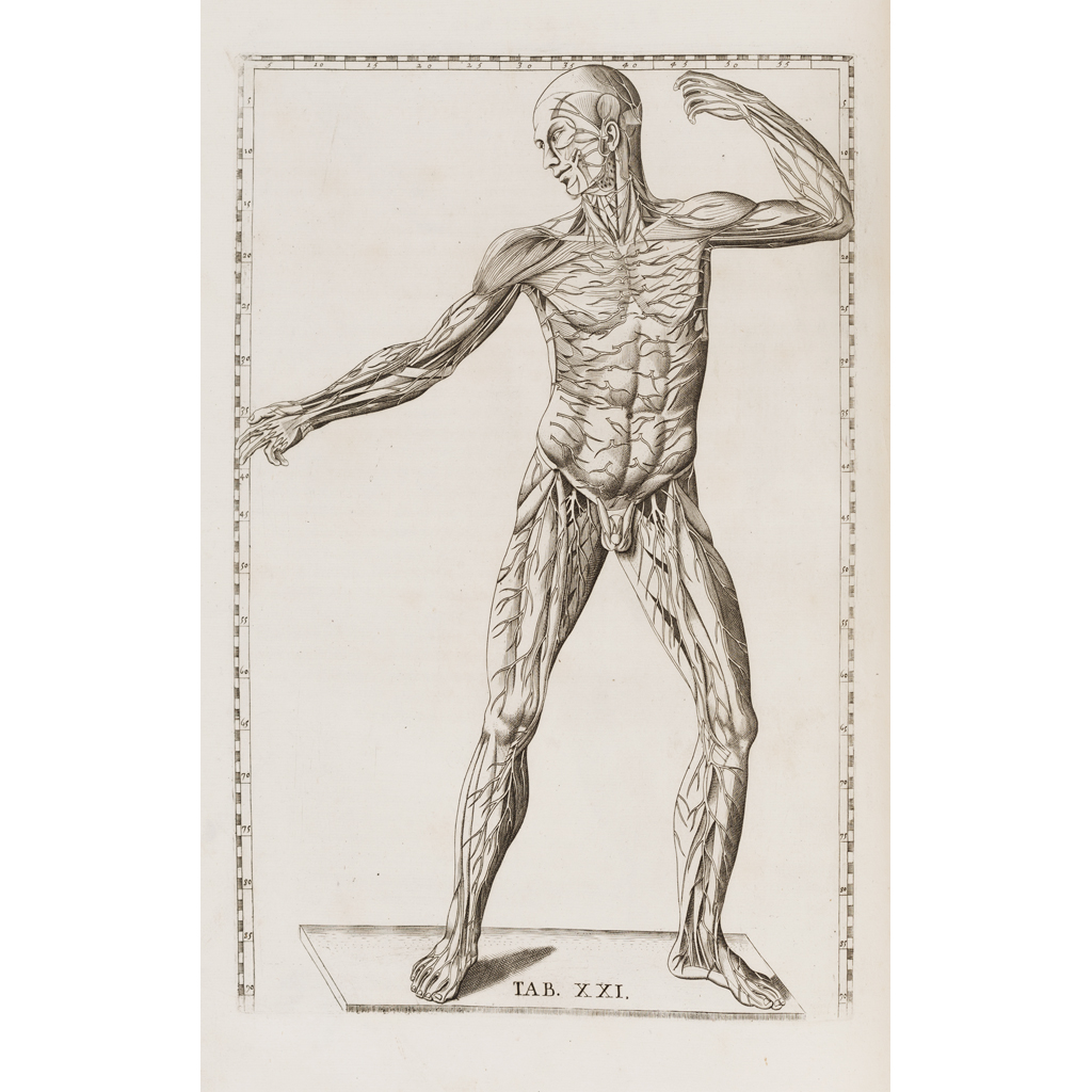 Appraisal: Eustachius Bartholomaeus Tabulae Anatomicae Rome L T Pagliarini Folio iii-xxviii