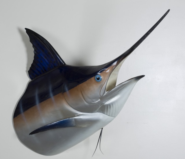 Appraisal: a Blue Marlin Half Mount L x H x D