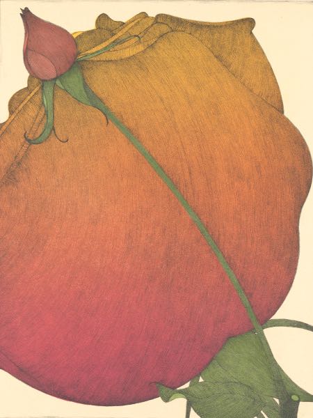 Appraisal: ART HANSEN AMERICAN - x image Two Roses Color lithograph