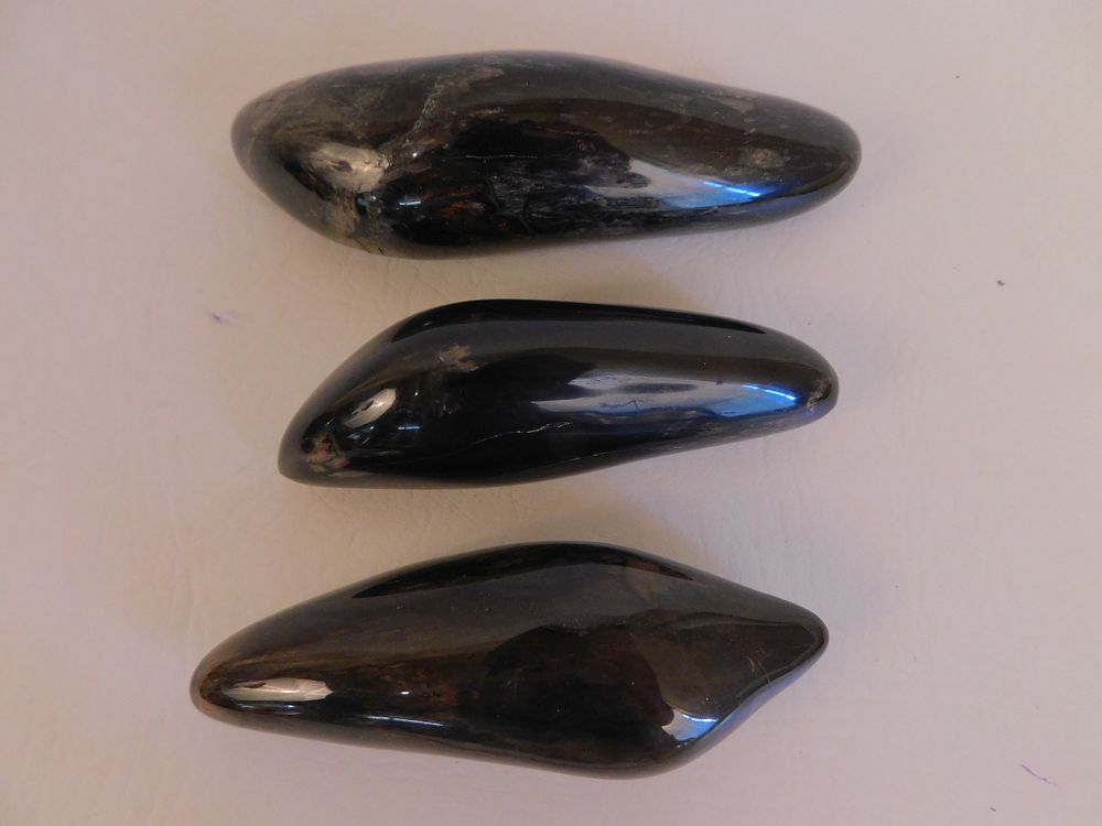 Appraisal: FOSSILIZED WHALE TEETH fossilized and polished whale's teeth to in