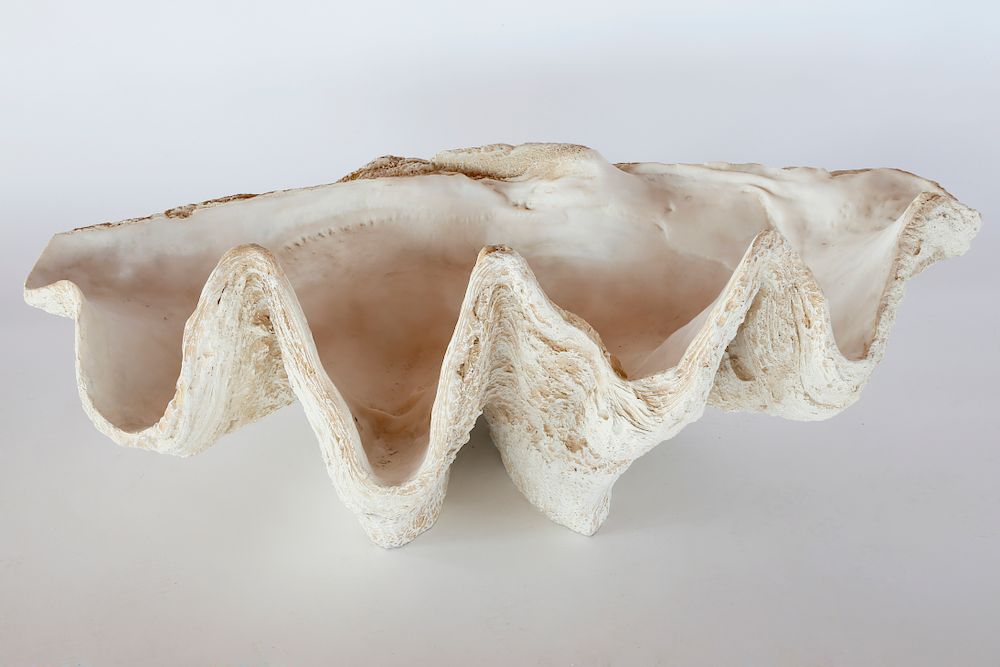 Appraisal: Composite Deep Sea Clam Shell Exclusive on Bidsquare Composite Deep