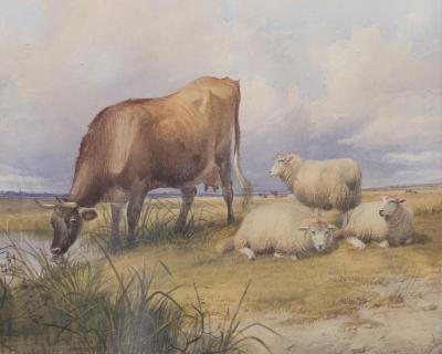 Appraisal: Thomas Sidney Cooper - Longhorn and Sheep signed and dated