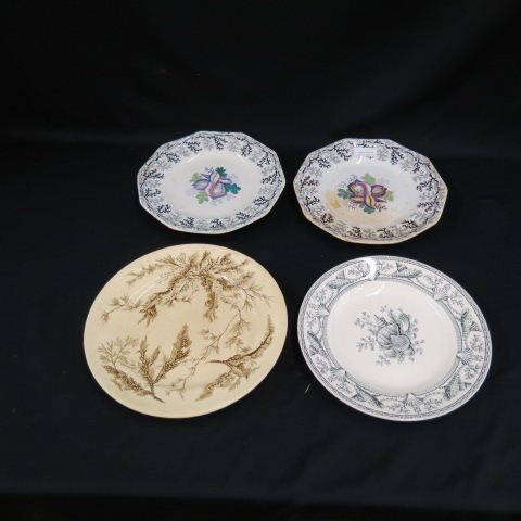 Appraisal: Victorian Ironstone Plates various shell designs