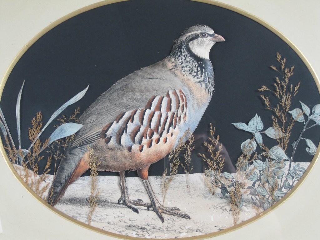 Appraisal: ENGLISH SCHOOL Pair of decoupage Pictures of partridge and quail