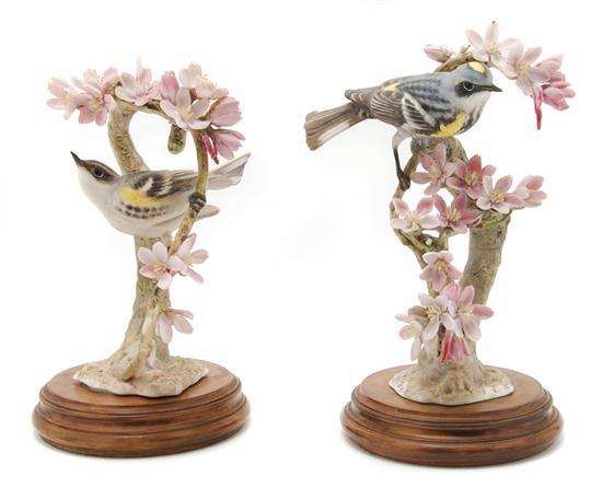 Appraisal: Pair of Royal Worcester Dorothy Doughty Birds Myrtle Warblers on