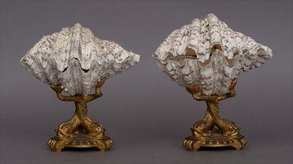 Appraisal: PAIR OF LOUIS XVI-STYLE SHELL BOXES ON GILT-METAL STANDS Each