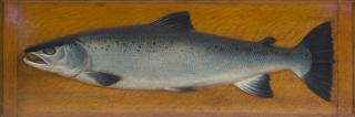 Appraisal: Atlantic Salmon Model Atlantic Salmon Model John Tully - and