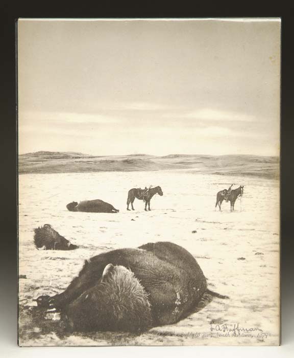 Appraisal: PHOTOGRAPHIC IMAGE OF DEAD BUFFALO BY L A HUFFMAN Signed