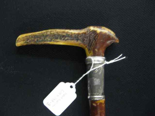 Appraisal: Antique Stag Handle Cane bird decorated collar '' long