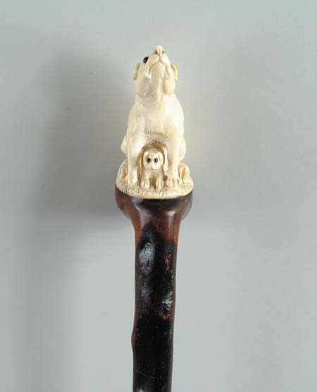 Appraisal: FINE CARVED IVORY BONE DOG HANDLED CANE Wood knob decorated