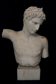 Appraisal: PLASTER BUST