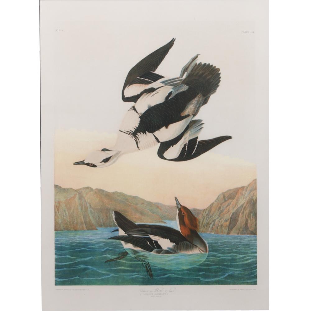 Appraisal: JOHN JAMES AUDUBON BIRDS OF AMERICA PLATE NO WHITE MERGANSER