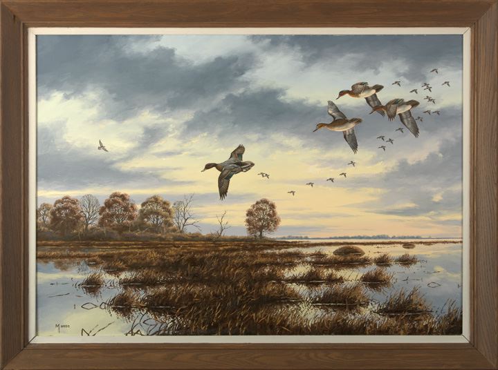 Appraisal: David A Maass American Minnesota b Green-Winged Teal oil on