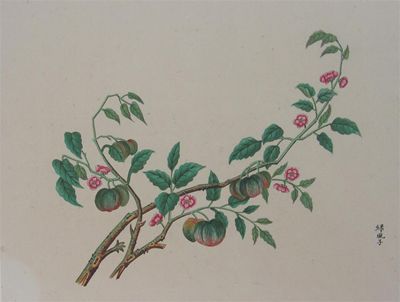 Appraisal: A set of twelve Chinese gouache and watercolour paintings on