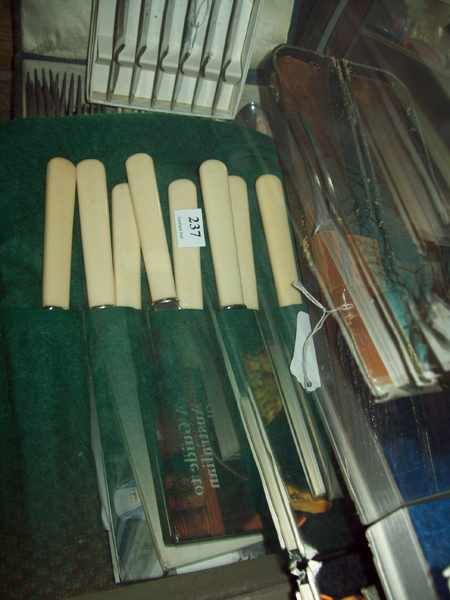 Appraisal: A COLLECTION OF BONE HANDLE KNIVES IN PRESENTATION BOX ETC