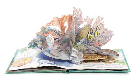 Appraisal: Bugs and sea life pop-up books Buxton Jane H STRANGE