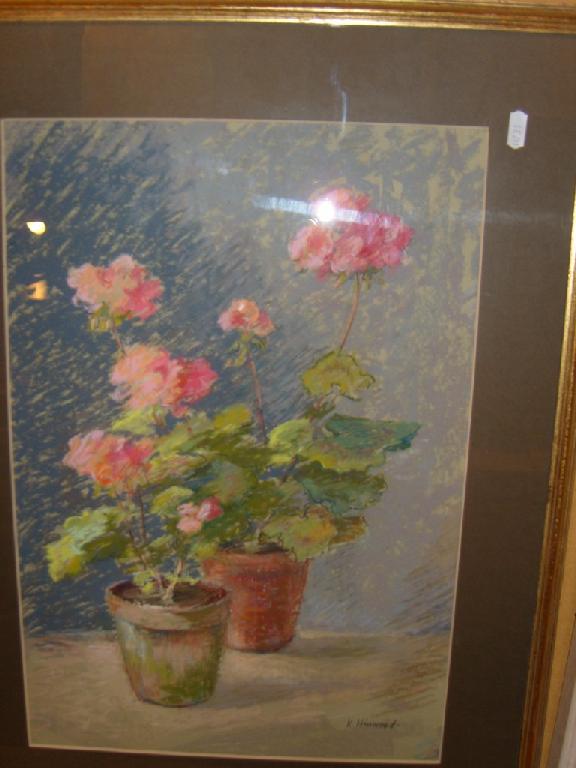 Appraisal: A pastel drawing of two pink germaniums in terracotta pots