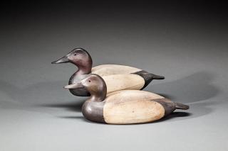 Appraisal: Canvasback Pair Mark S McNair b Craddockville VA c Two