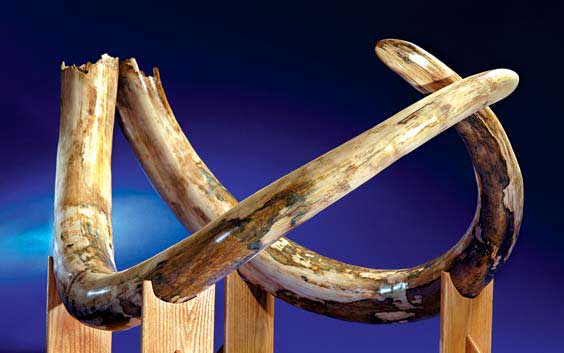 Appraisal: A RARE PAIR OF WOOLLY MAMMOTH TUSKS Of all the