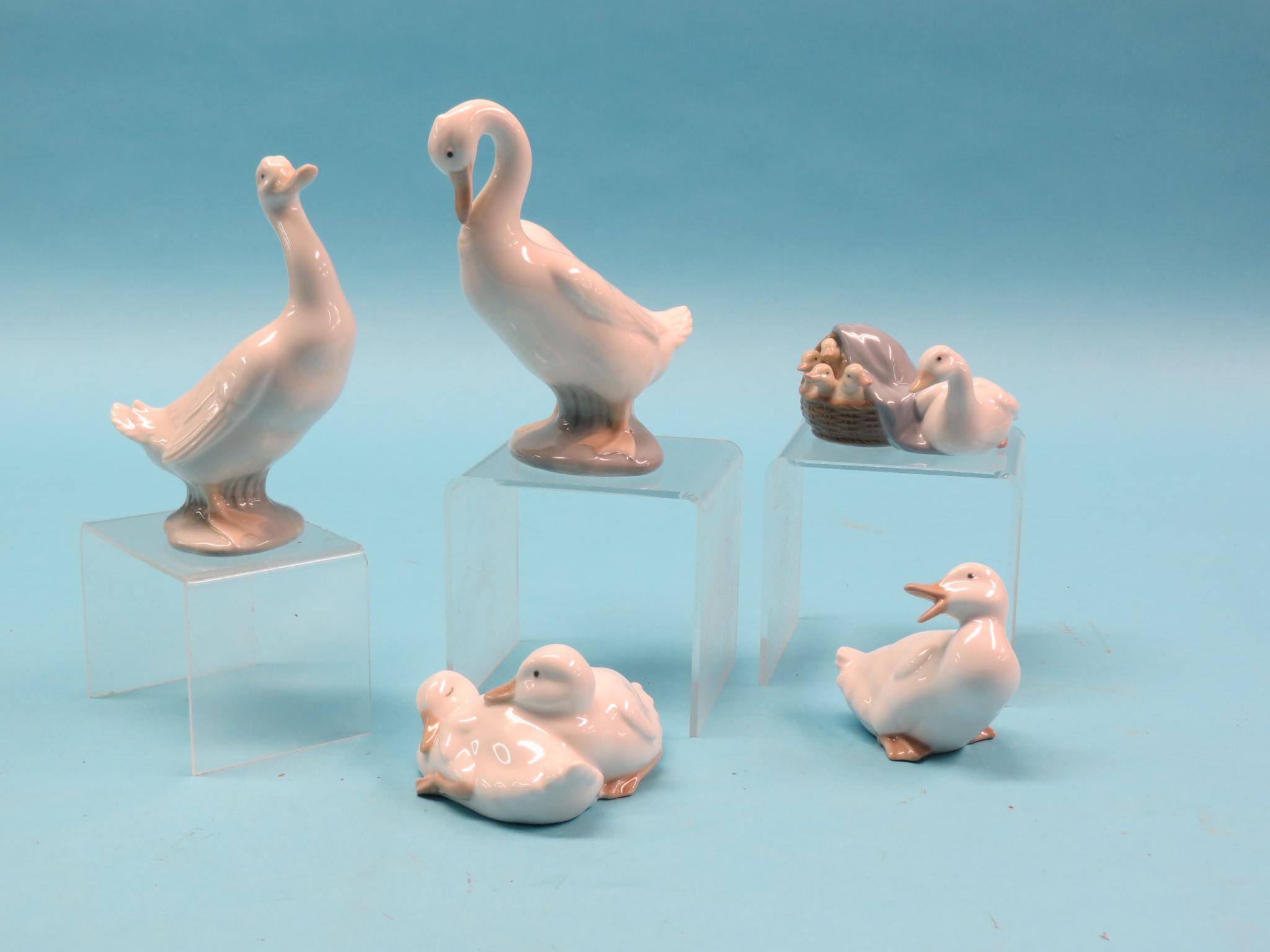 Appraisal: Four Nao bird models and a Lladro duck group