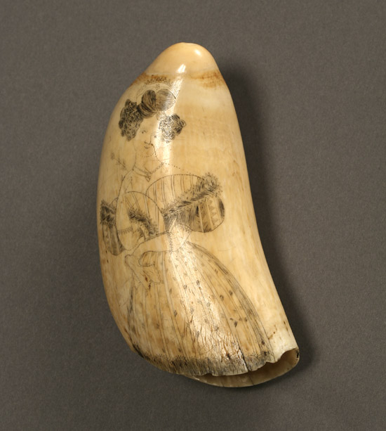 Appraisal: American Scrimshawed Whale Tooth th Century Decorated on both sides