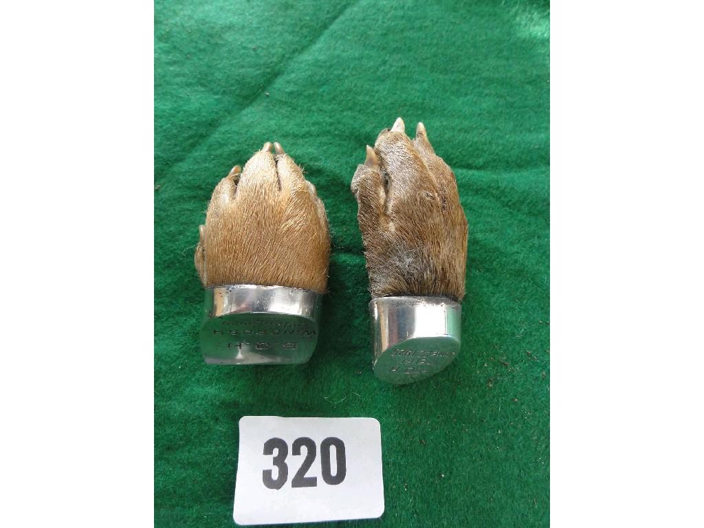 Appraisal: Two animals feet with silver mounts and presentation inscriptions