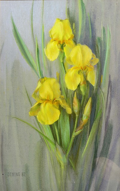 Appraisal: DEWING TH CENTURY 'Yellow Iris' signed and dated ' pastels