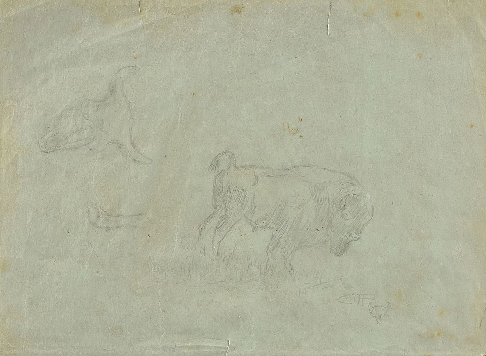 Appraisal: CHARLES MARION RUSSELL American - A DRAWING Sketch of Bison