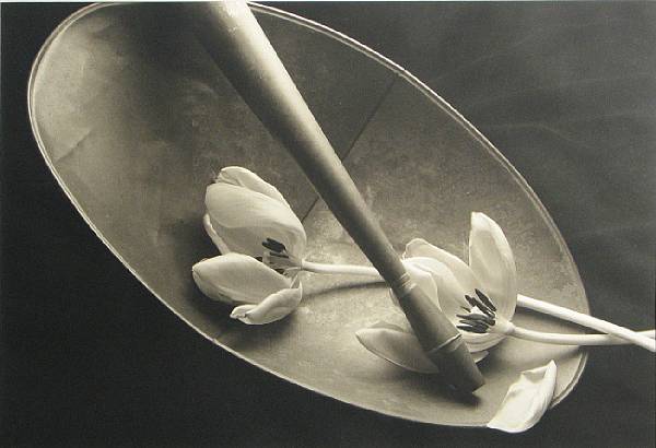 Appraisal: Kenro Izu Japanese American born Still Life Platinum-palladium print not