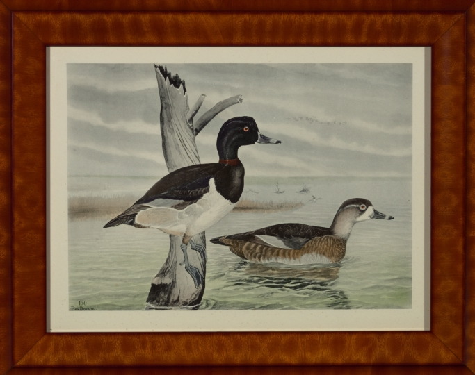 Appraisal: Rex Brasher American - Gadwalls and Ringnecks pair of hand-colored