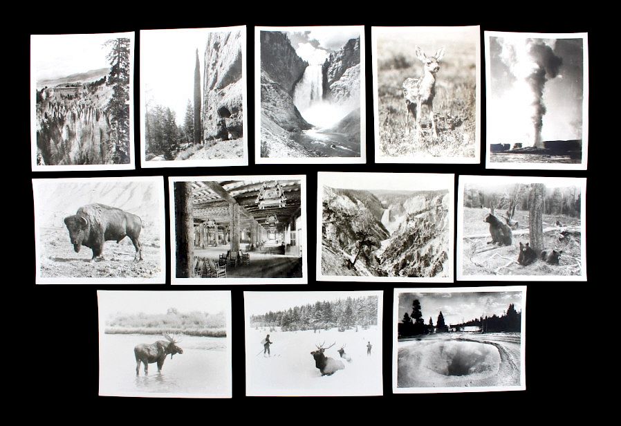 Appraisal: Haynes Yellowstone Park Photograph Collection This lot offers a collection