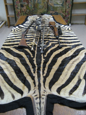 Appraisal: CAPE MOUNTAIN ZEBRA SKIN FLOOR RUG equus zebra zebra South