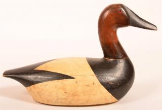 Appraisal: Carved and Painted Canvas Back Drake Decoy Carved and Painted