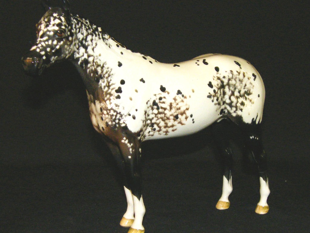 Appraisal: Beswick Appaloosa Stallion model no high back leg re-glued