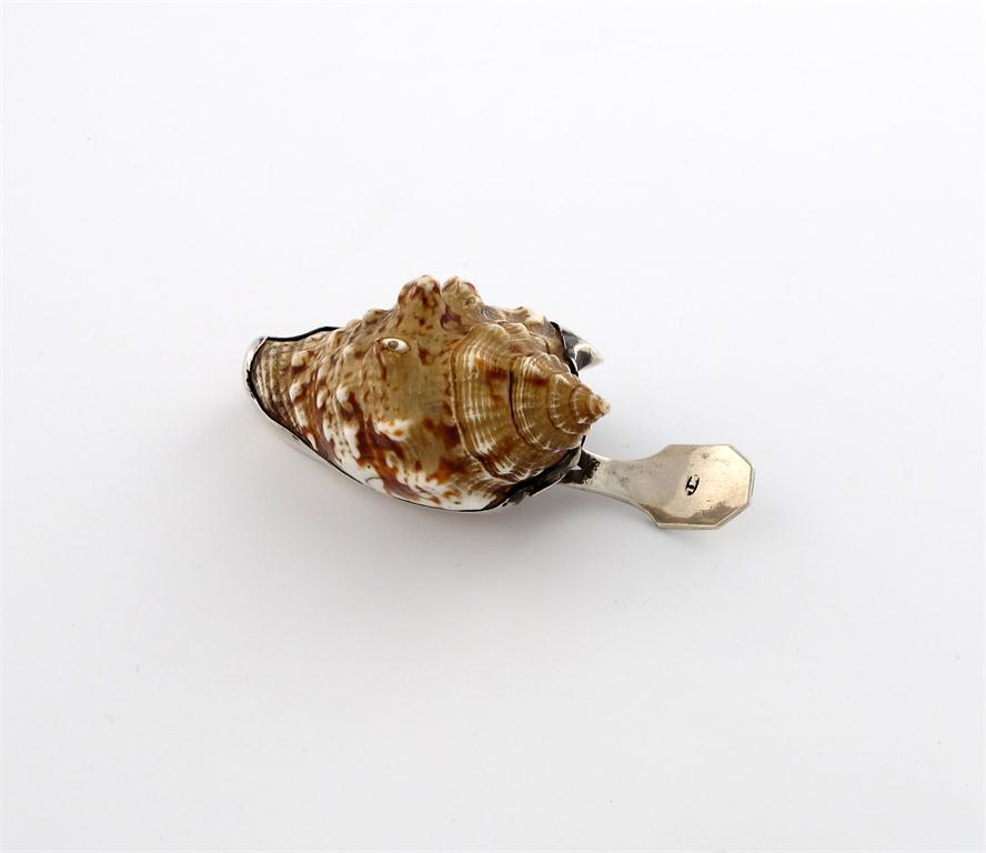 Appraisal: An early th century silver mounted conch shell caddy spoon