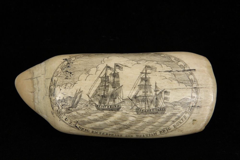 Appraisal: SCRIMSHAWN WHALES TOOTH - US Brig Enterprise and British Brig