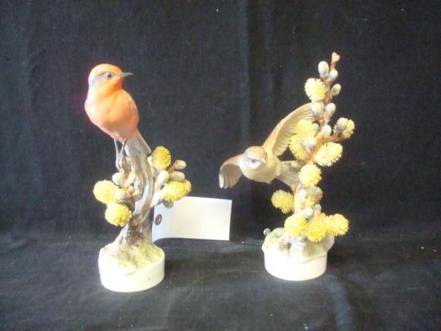 Appraisal: Doughty Royal Worcester Birds Dimensions