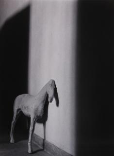 Appraisal: Photograph Debbie Fleming Caffery Debbie Fleming Caffery American b Cavalo