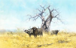 Appraisal: DAVID SHEPHERD b Cape Buffalo DAVID SHEPHERD b Cape Buffalo